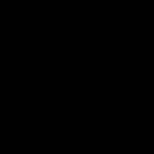 Meet your Posher, Jessie